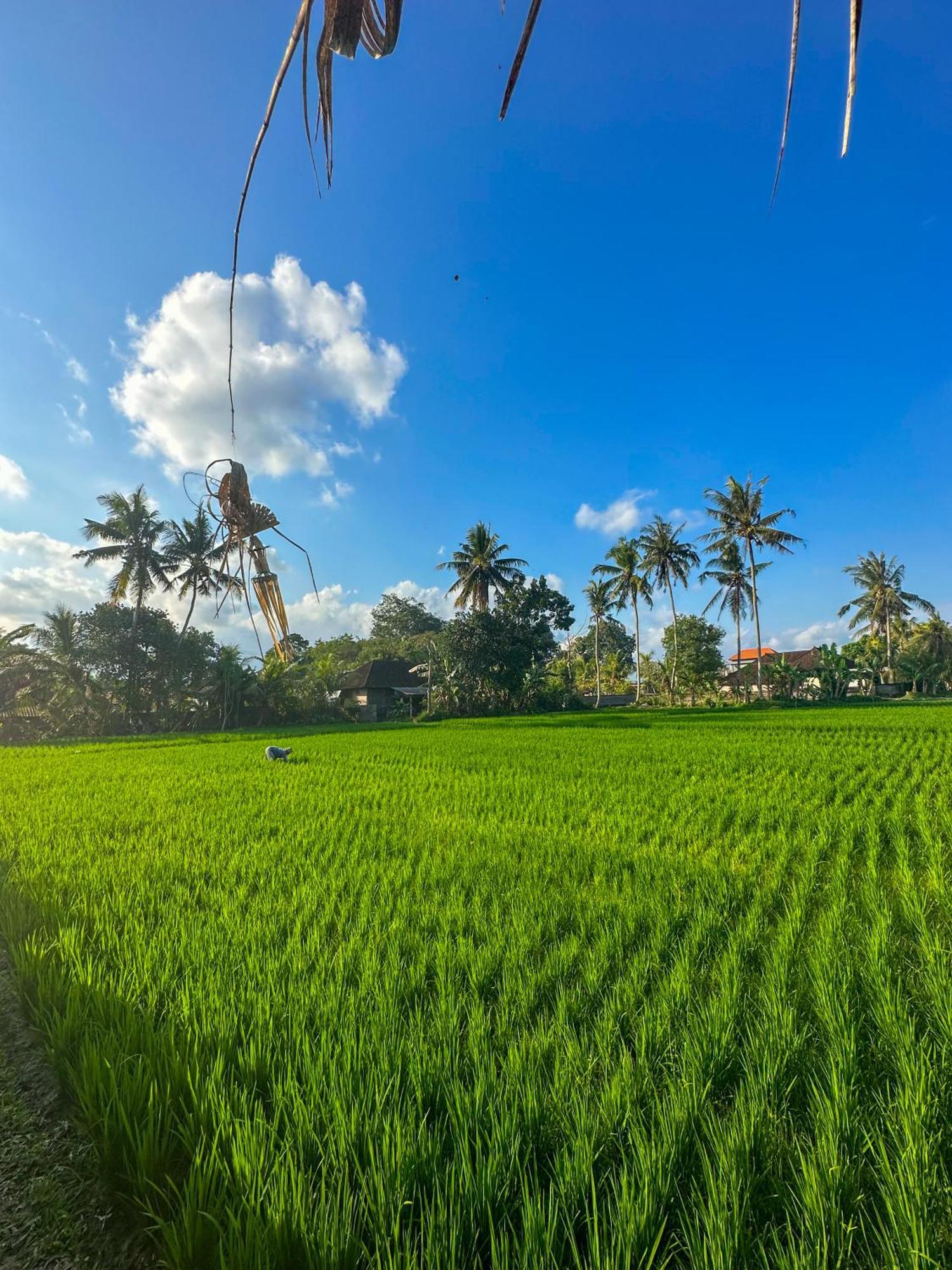 Hotel Nunu Bali Eco Friendly Retreat Canggu Exterior foto